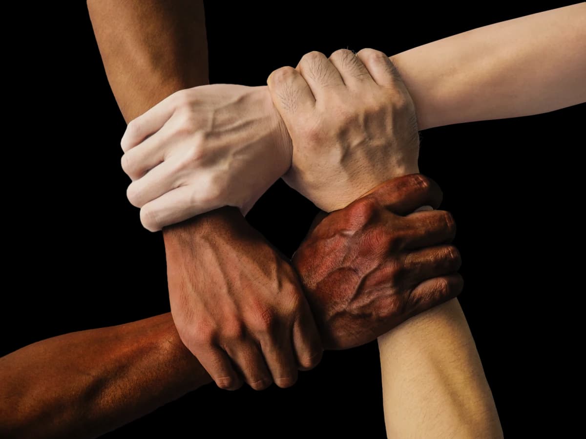 Des mains de différentes origines se tiennent ensemble en signe de solidarité